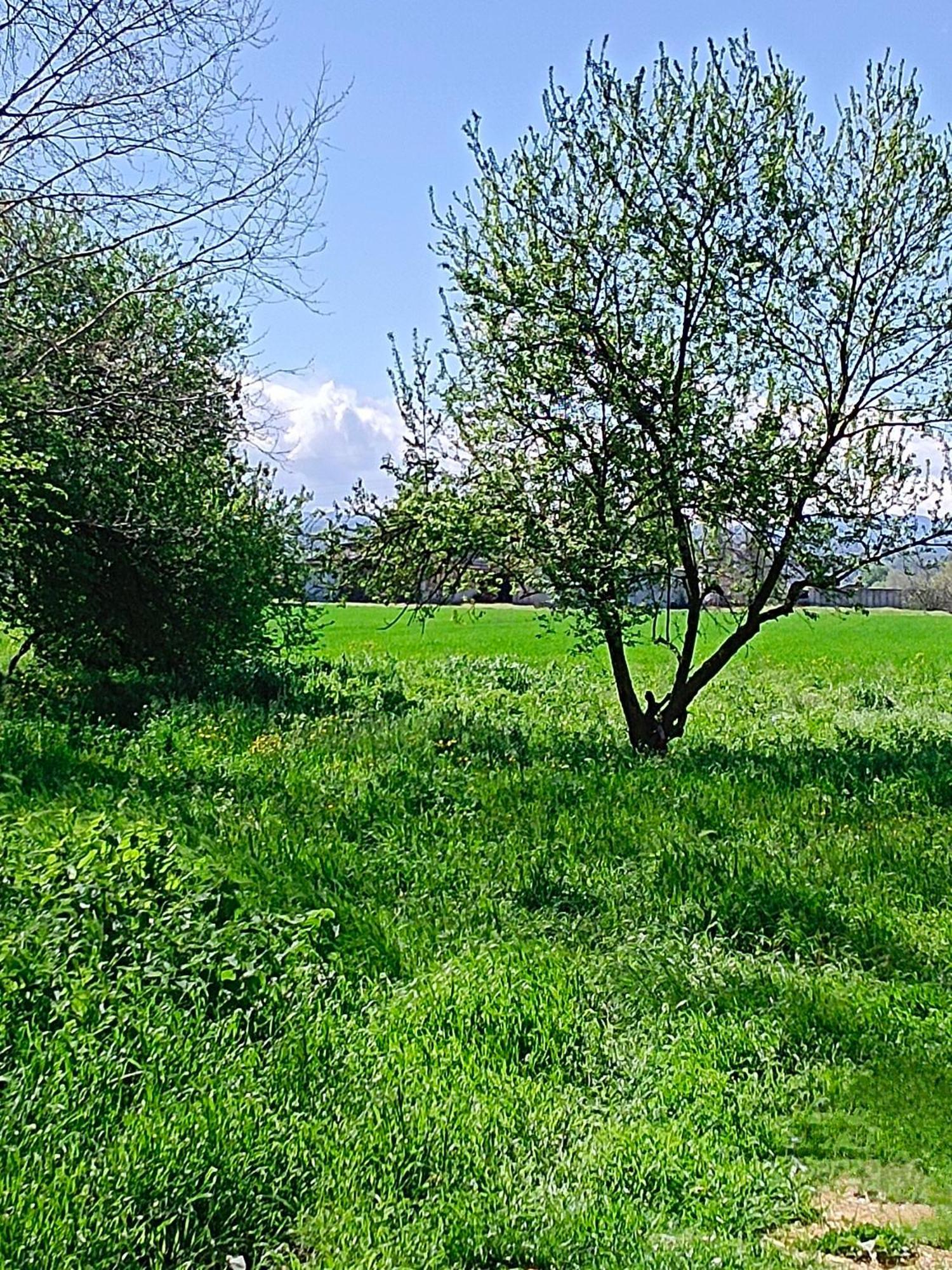 La Maison Rouge Crespellano Εξωτερικό φωτογραφία